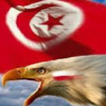 Profile picture of tarekhamditn