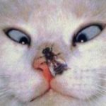 Profile picture of teryy10