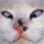 Profile picture of teryy10