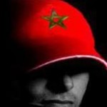 Profile picture of youssef